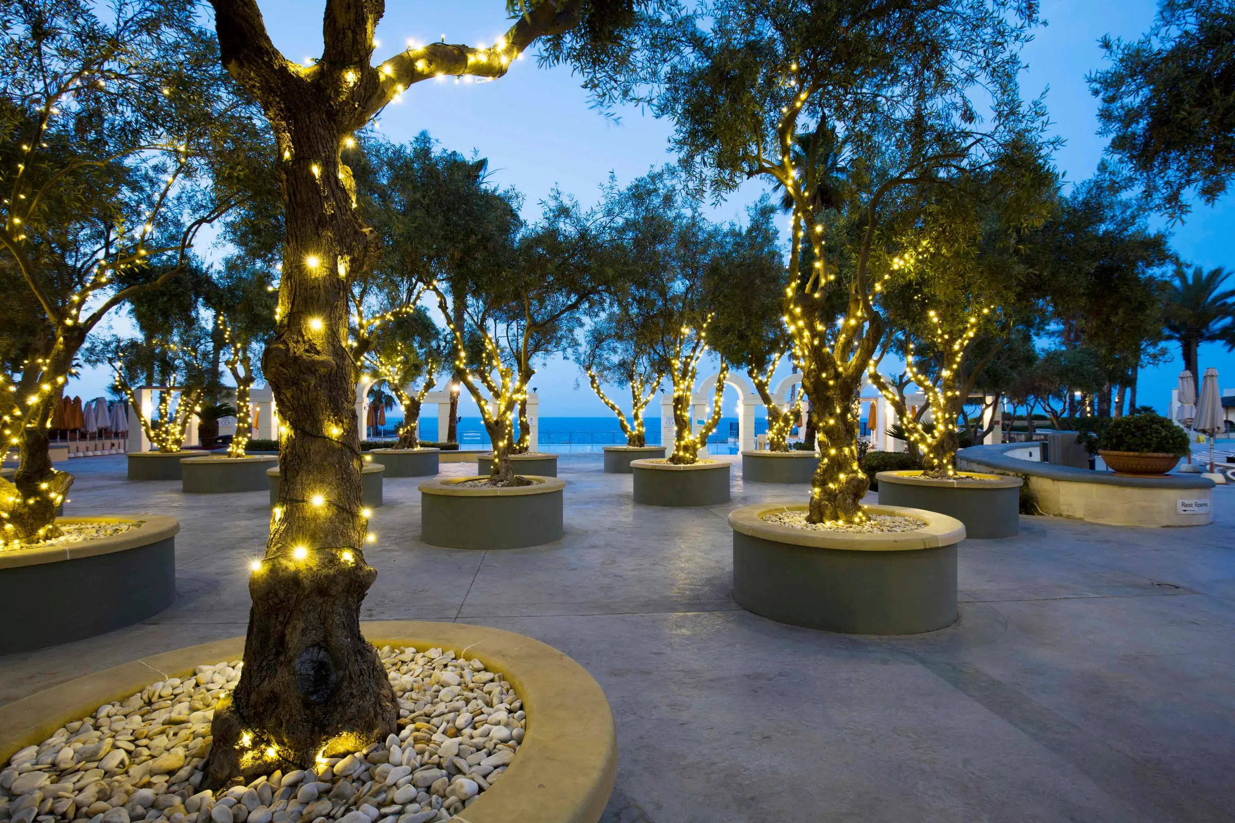 The Gazebo, an outdoor event space of lit olive trees, at dusk with the sea beyond