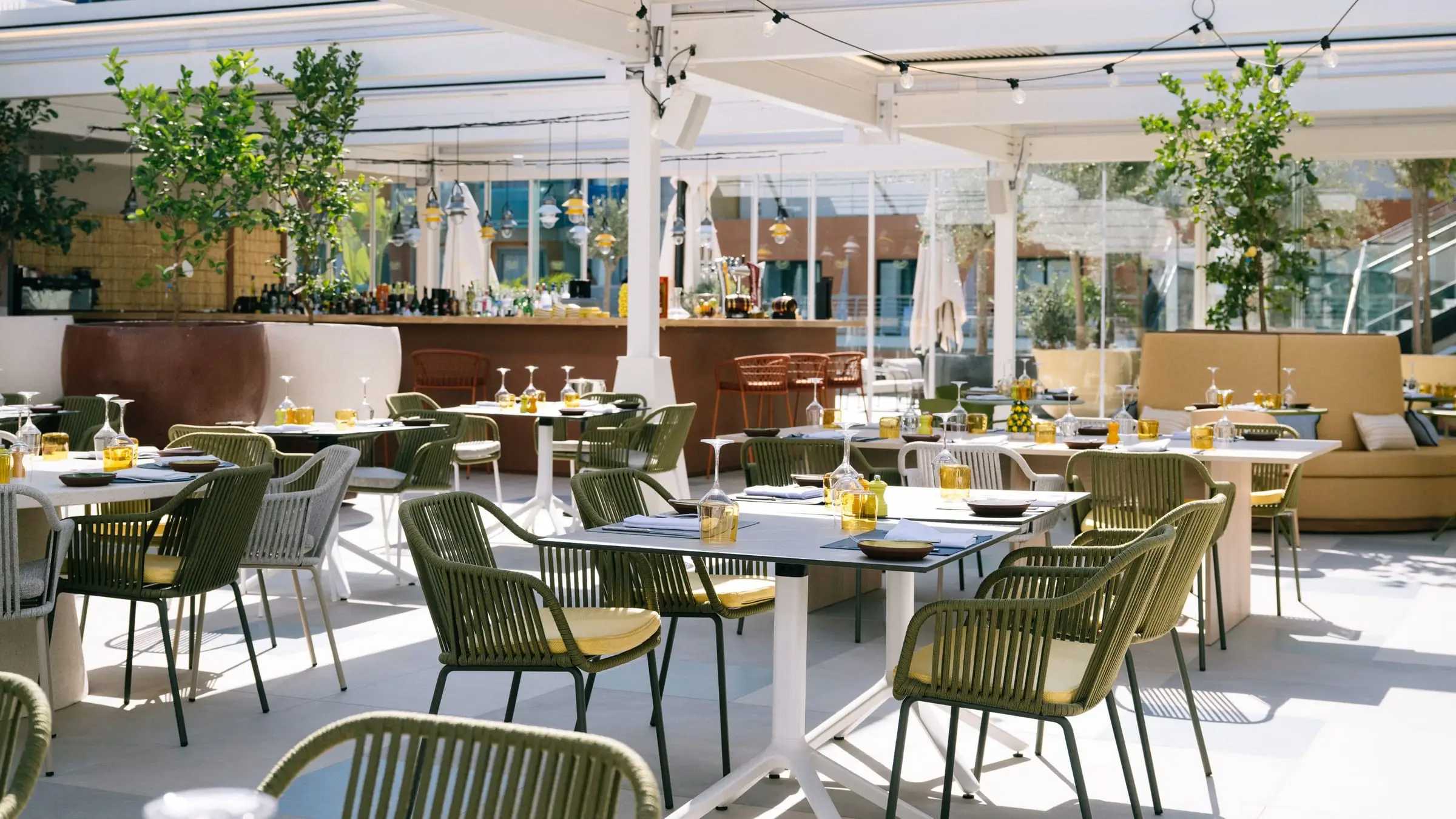 A restaurant terrace under string lights and olive trees