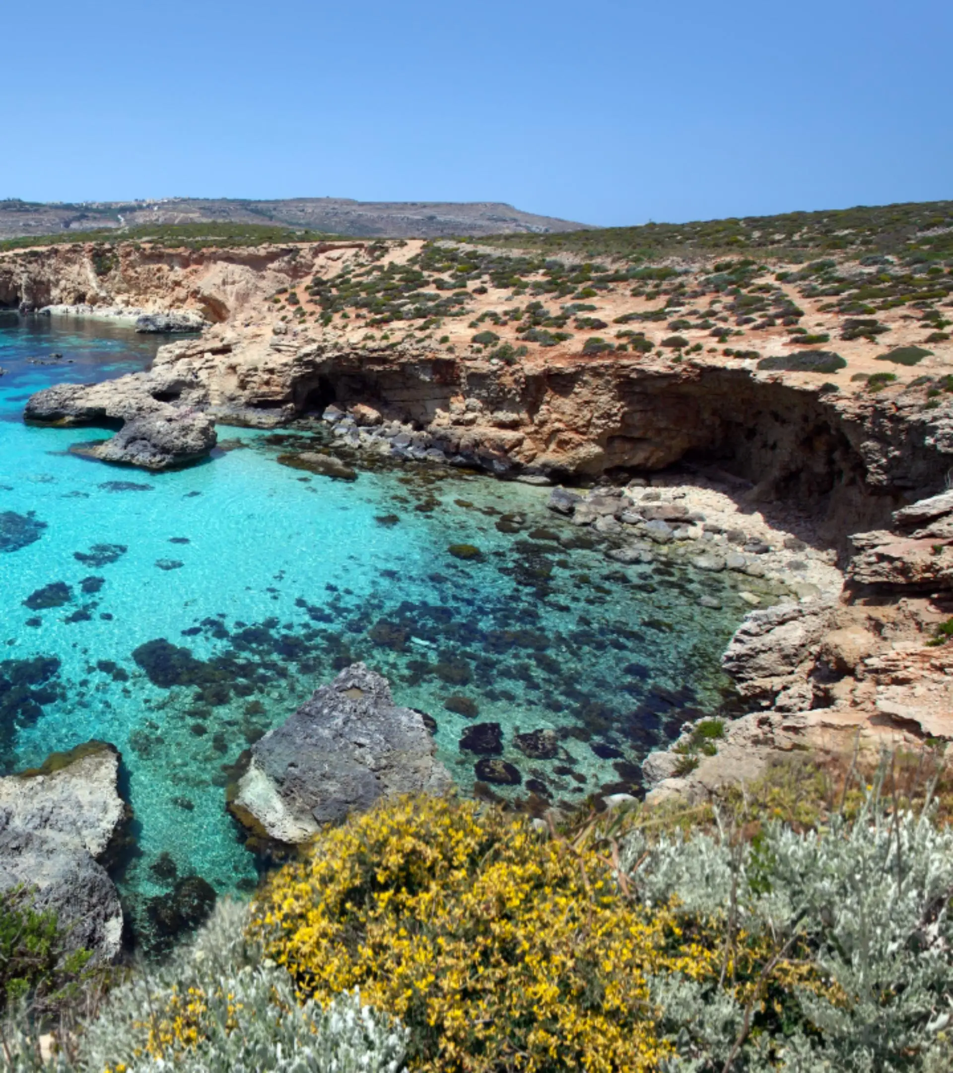 Clear turquoise water in a rocky cove on Comino, wild scrub in flower on the rocks