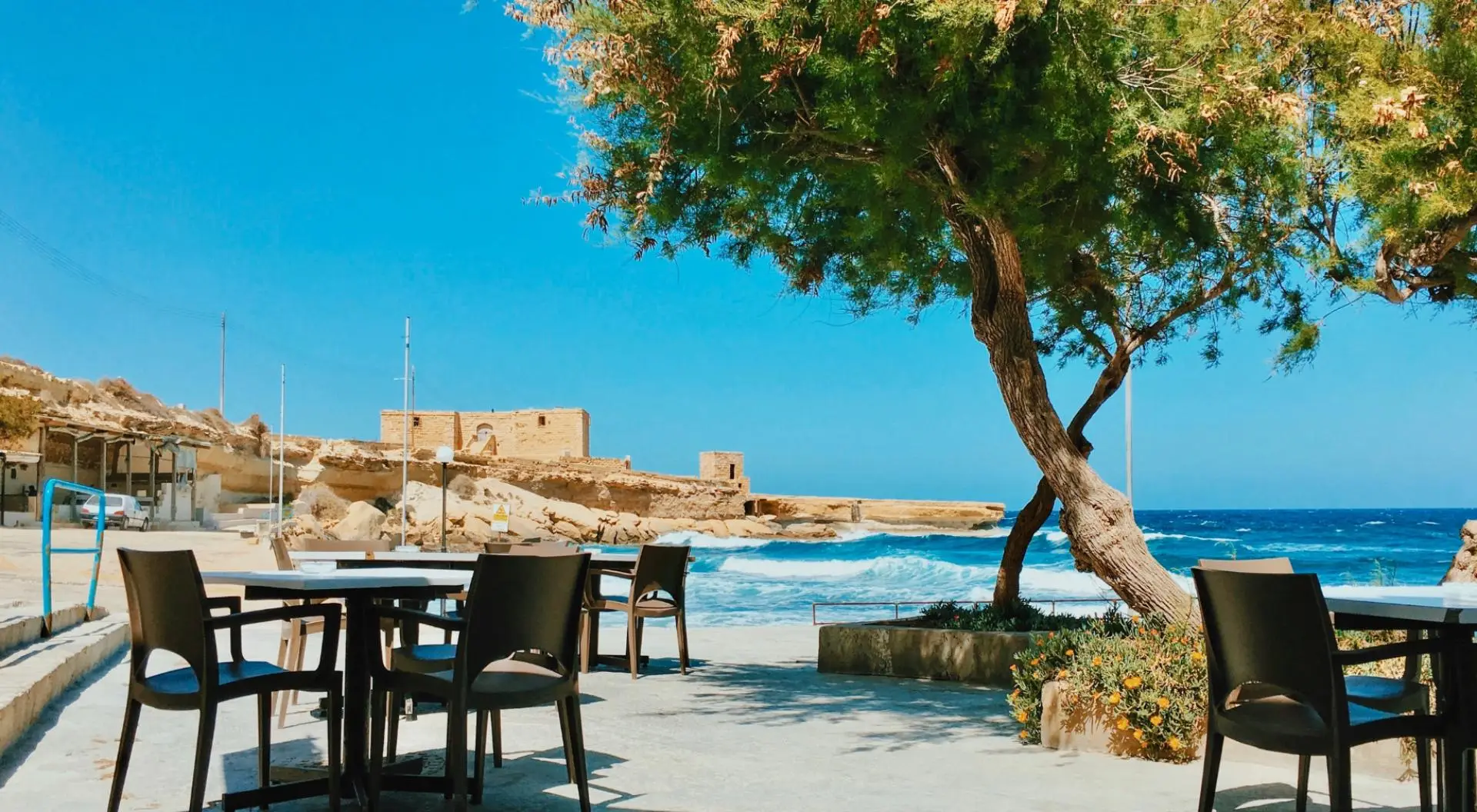 Café tables under a tamarisk tree on a quiet seafront, a watchtower across the bay